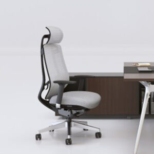 Ghế Văn Phòng Goodtone OCImove