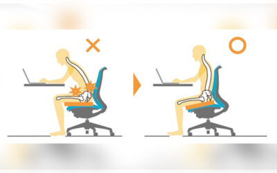 ghế công thái học