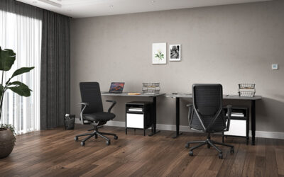 ghế công thái học