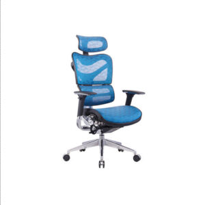 ghế công thái học ganos ocjns701