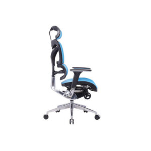 ghế công thái học ganos ocjns701