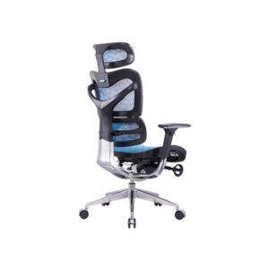 ghế công thái học ganos ocjns701