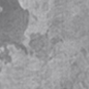 thảm silver stone bộ sưu tập hoa sen