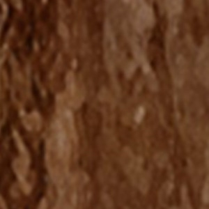 thảm silver stone bộ sưu tập hoa sen