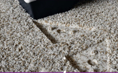 thảm nỉ trải sàn