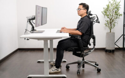 xu hướng thiết kế