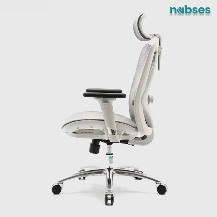 ghế công thái học