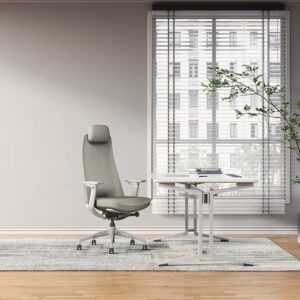 ghế văn phòng ergonomic goodtone yucan