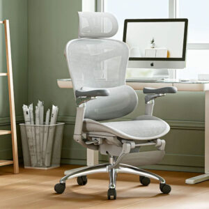 ghế văn phòng ergonomic sihoo a3/doro c300