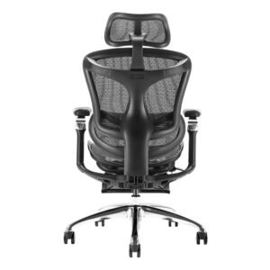 ghế văn phòng ergonomic sihoo a3/doro c300
