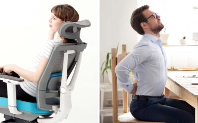 ghế công thái học