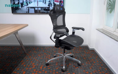 ghế công thái học