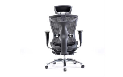 ghế công thái học giá rẻ