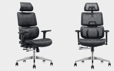 ghế công thái học hà nội