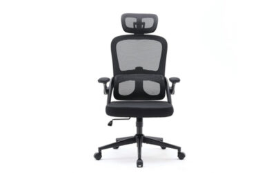 ghế công thái học hà nội