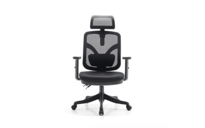 ghế công thái học hà nội