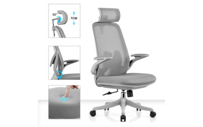 ghế công thái học là gì