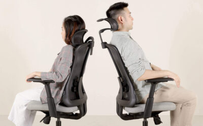 ghế công thái học là gì