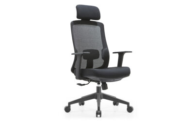 ghế công thái học là gì