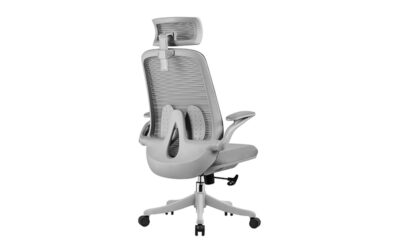 lumbar support