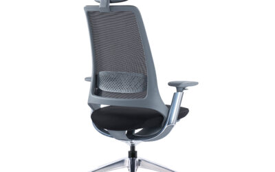 lumbar support