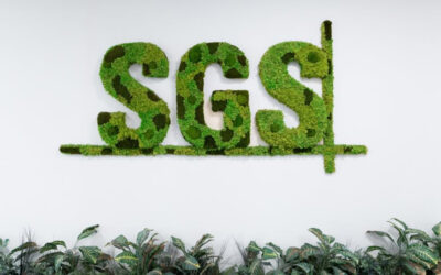 chứng nhận sgs