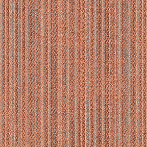 thảm nabses palette