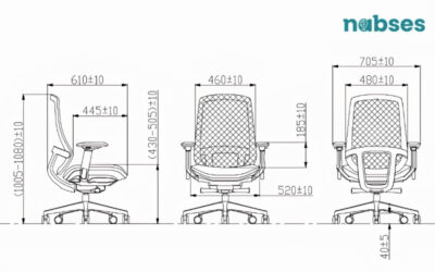 ghế công thái học là gì